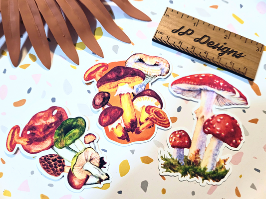 Vintage Retro Mushroom Sticker Set, Fungi Sticker Gift Set, Stickers for Mushroom Lovers, mycologist gift