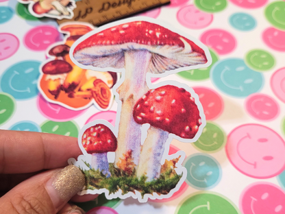 Vintage Retro Mushroom Sticker Set, Fungi Sticker Gift Set, Stickers for Mushroom Lovers, mycologist gift