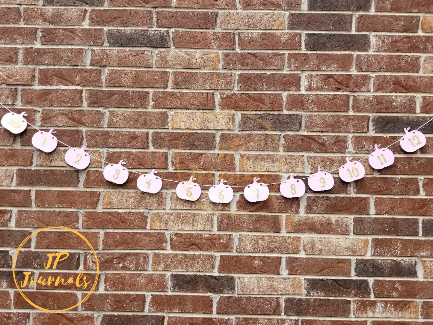 Pink and Gold Pumpkin 1st Birthday Party Banner, Photo Banner, Baby Timeline Banner, Little Pumpkin First Birthday Party for Girls